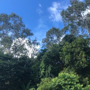 Meet your Posher, Lana